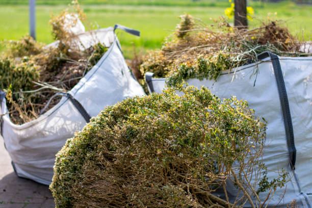 Best Construction Debris Removal  in Jan Phyl Village, FL